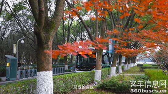 p13.jpg