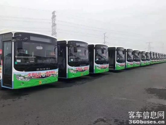 b1.jpg