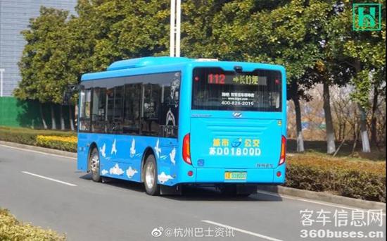 d6.jpg