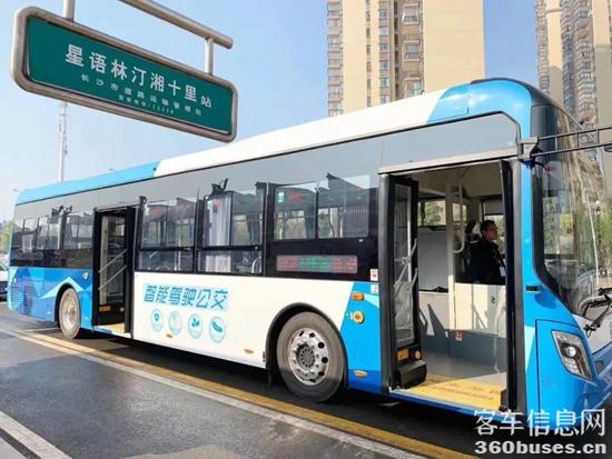 e5.jpg