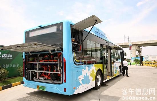 e5.jpg