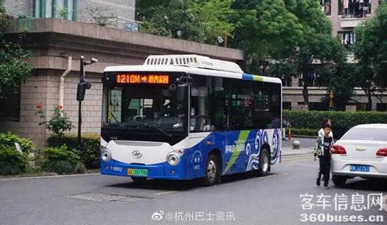 c6.jpg