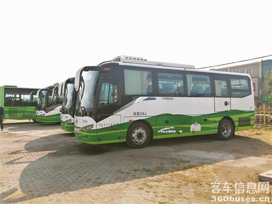 d80d-a178fcbd7dd3993aadd0b2521bf8a5f8.jpg