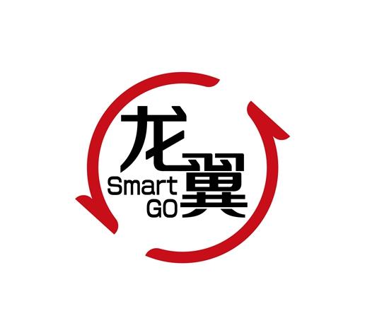龙翼标识 1.jpg
