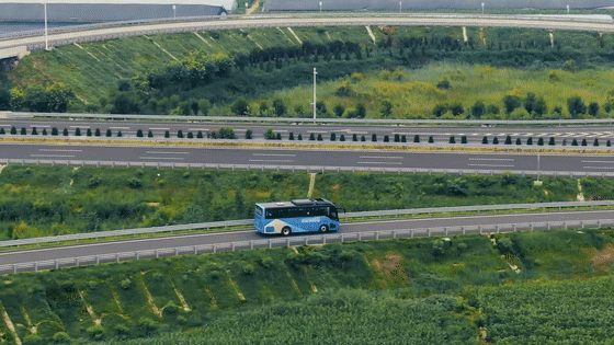 4.gif