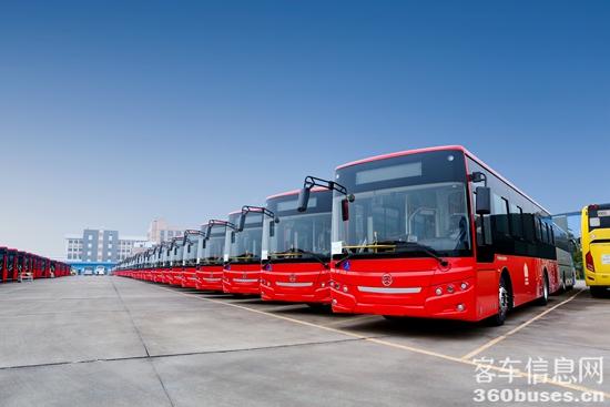 2 2023年1月出口蒙古国的金旅公交车.jpg