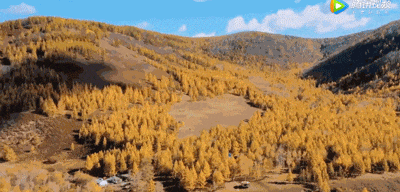 1.gif