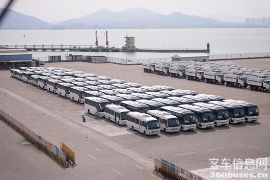 1 155辆金旅客车在厦门现代码头等待发运.JPG