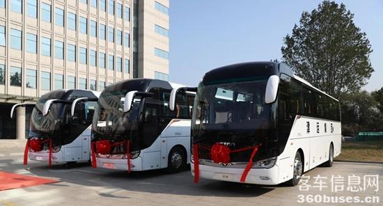 1761699536938013.jpg 2.jpg