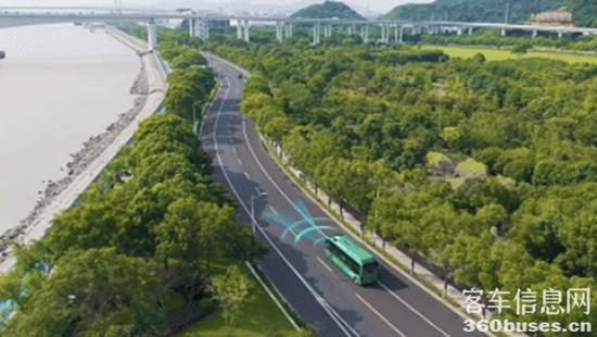 1761878661229476.jpg 8.jpg