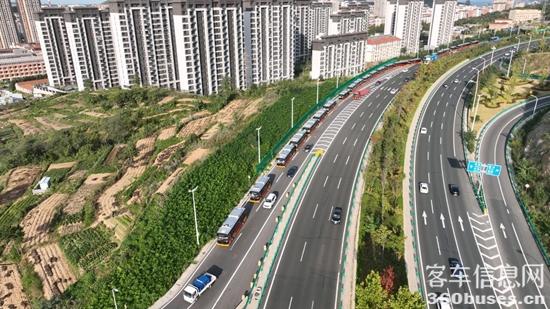 1762395932320308.jpg 3.jpg