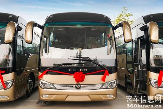 1762481250771022.jpg 2.jpg