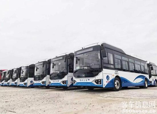 1762564372573197.jpg 2.jpg