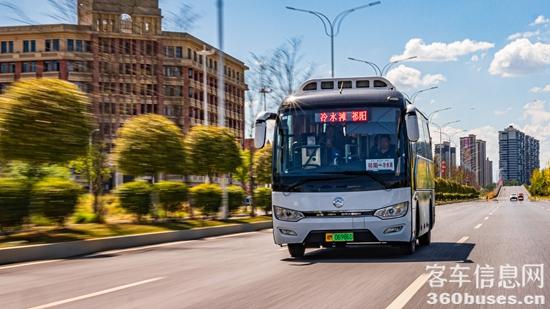 1762913880267839.jpg 2.jpg