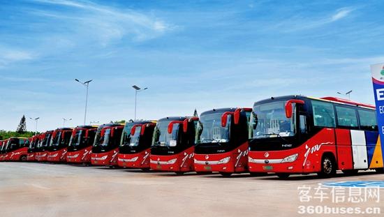 1762943224666742.jpg 11.jpg