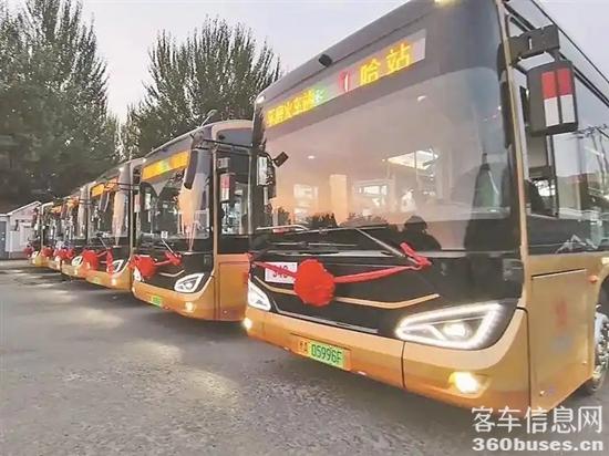 1763088445178569.jpg 1.webp.jpg