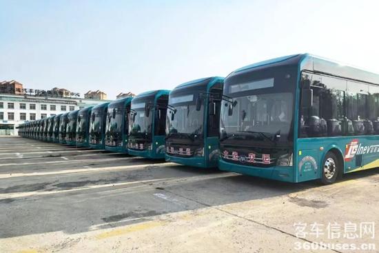 1763374503992746.jpg 8.jpg