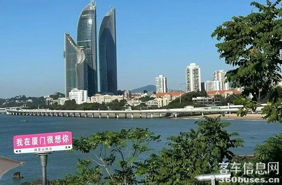 1764652925783848.jpg 5.jpg