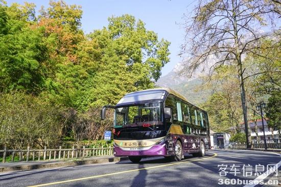 1766989745256224.jpg 6.jpg