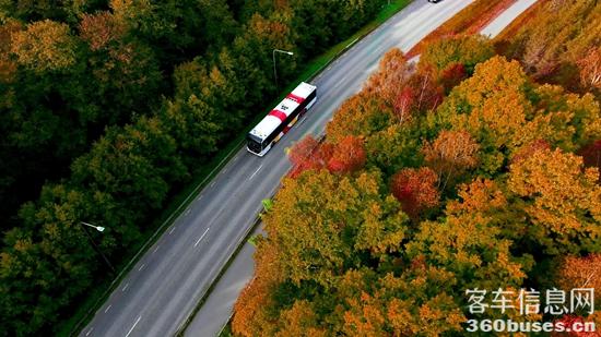 1768207795687146.jpg 6.jpg