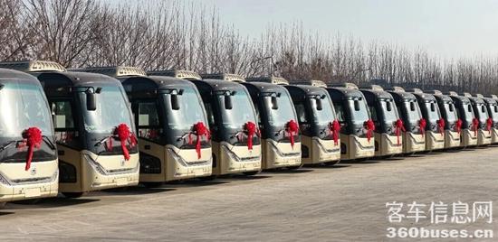 1769126884366213.jpg 8.jpg