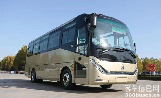 1769126901875774.jpg 10.jpg