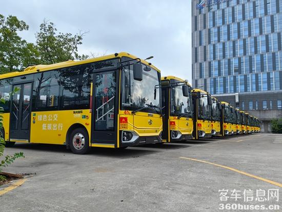 1769164516754039.jpg 1.jpg