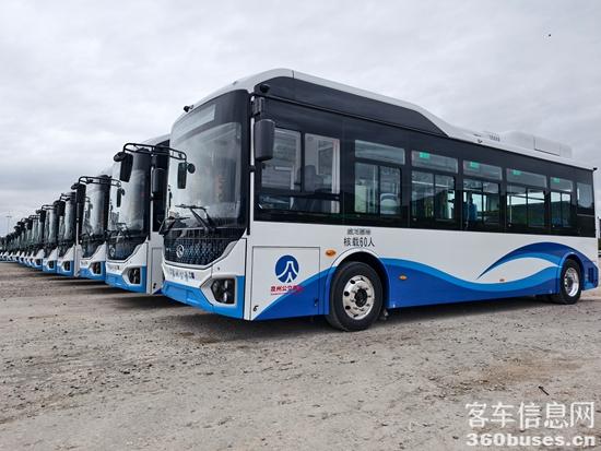 1769164523351732.jpg 2.jpg