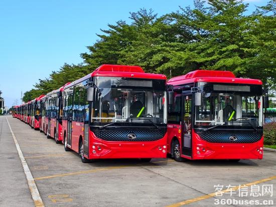 1769164538448621.jpg 4.jpg