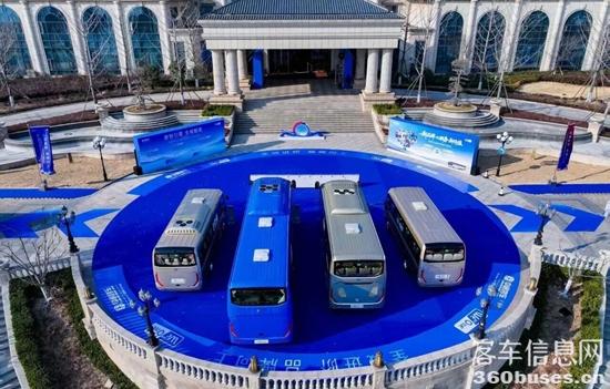 1769485217106951.jpg 12.jpg