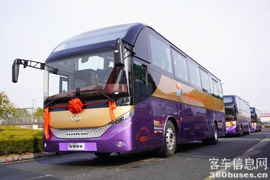 1772074995690017.jpg 5.jpg