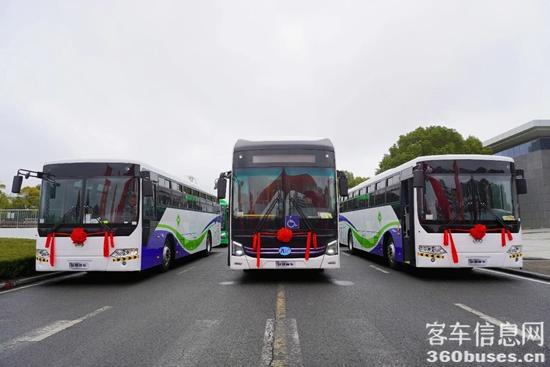 1772075763184180.jpg 4.jpg