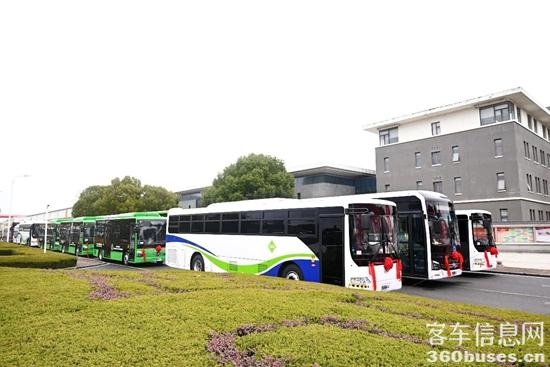 1772075770901474.jpg 5.jpg