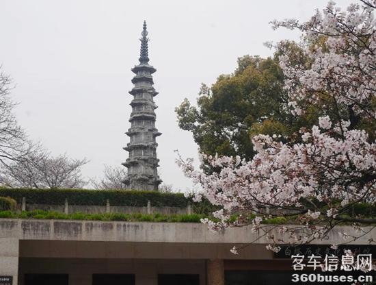 1775090826808999.jpg 1.jpg