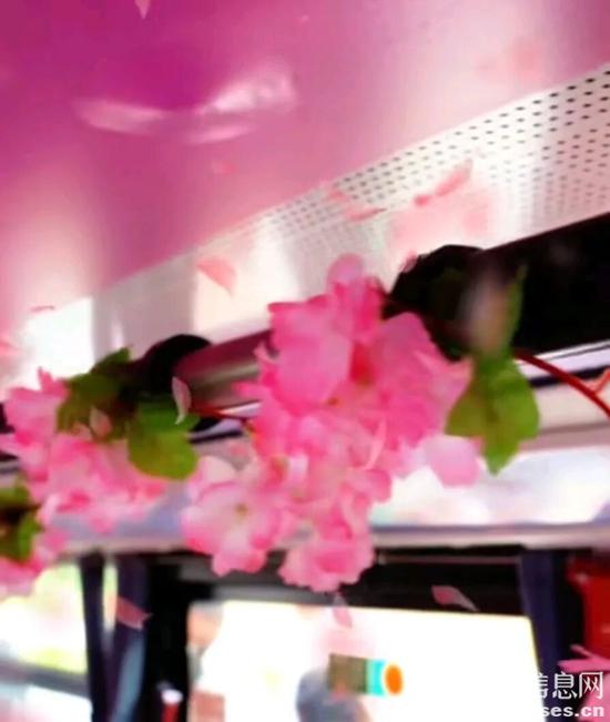 1775091140353242.jpg 5.jpg