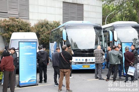 1775095025123639.jpg 9.jpg